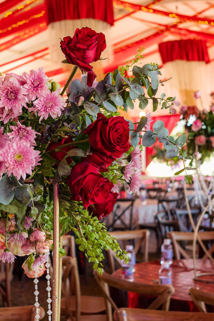 Abigael_Jordan_Nov_27th-21